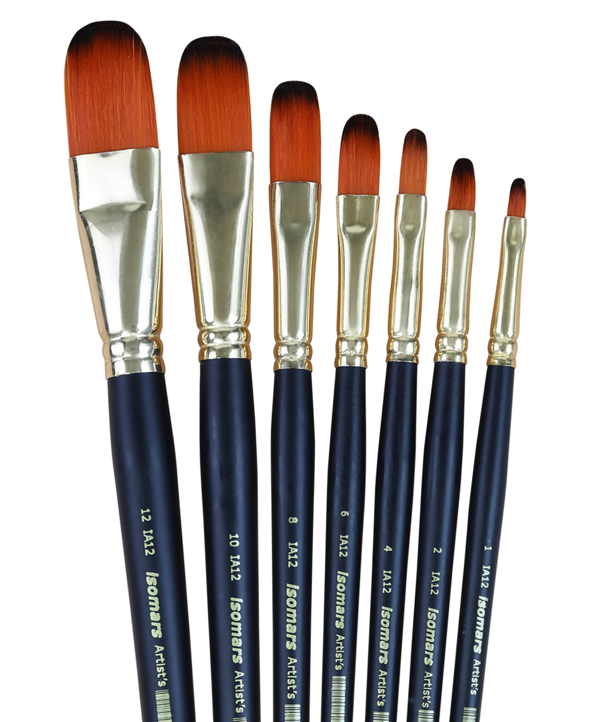 Artist Brush Filbert (Set of 7) - Isomars