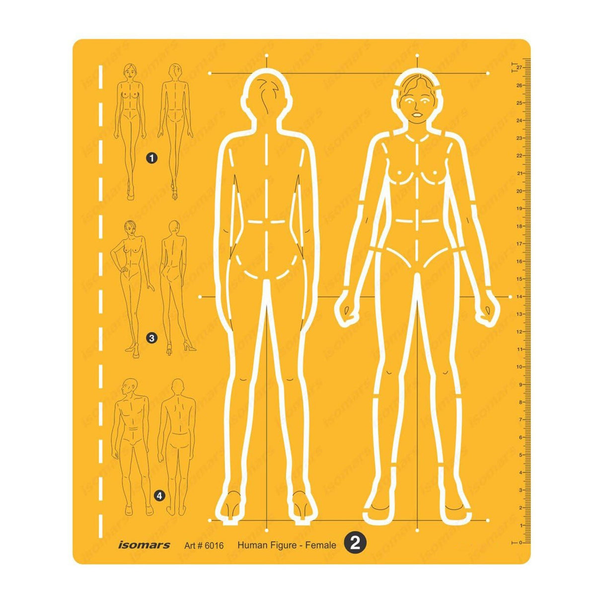 Isomars Human Figure Female Template No. 2 Drawing Stencil - Isomars