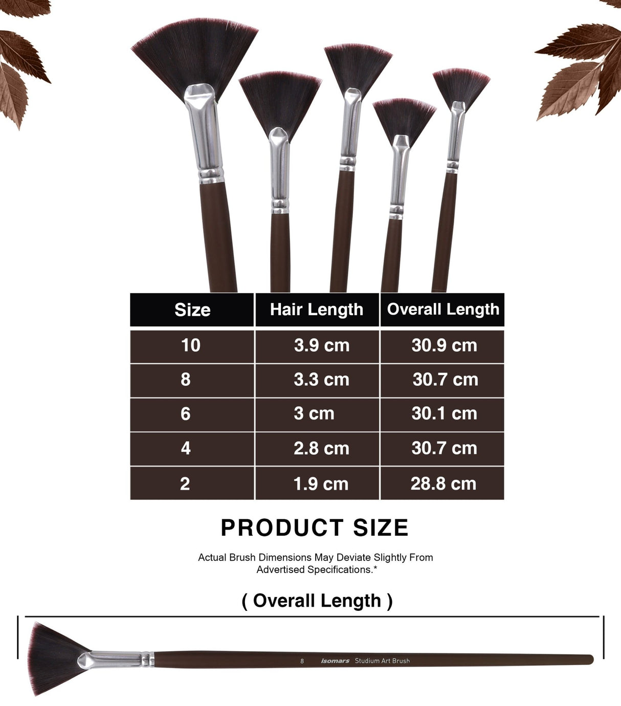 Isomars Studium Extra Long Handle Artist Fan Brush Set of 5 for Acrylic, Watercolor & Oil Painting - Isomars