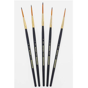Artist Paint Brush (Set of 5)