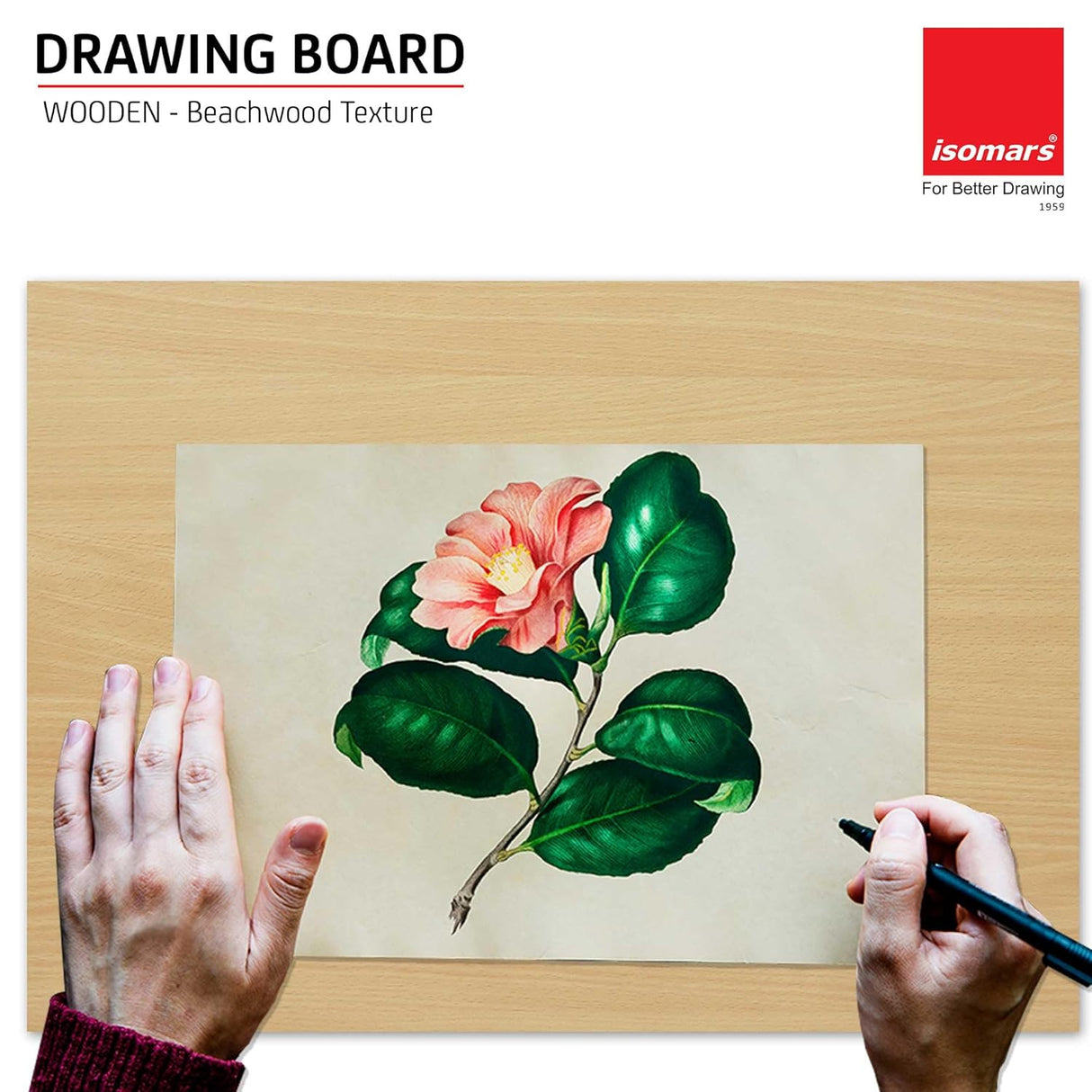 Isomars Drawing Both Side Laminated Beachwood-Textured Board - Full Imperial A2 (18.5 x 25.5 Inch) Size Board – for Artists, Architects, Engineers, Draftsmen Etc.