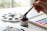 Isomars Water Color Ink Set of 12 Vibrant Professional Liquid Watercolors (35ml Bottles) with Droppers - Transparent Inks for Calligraphy, Illustration, Airbrushing & Painting
