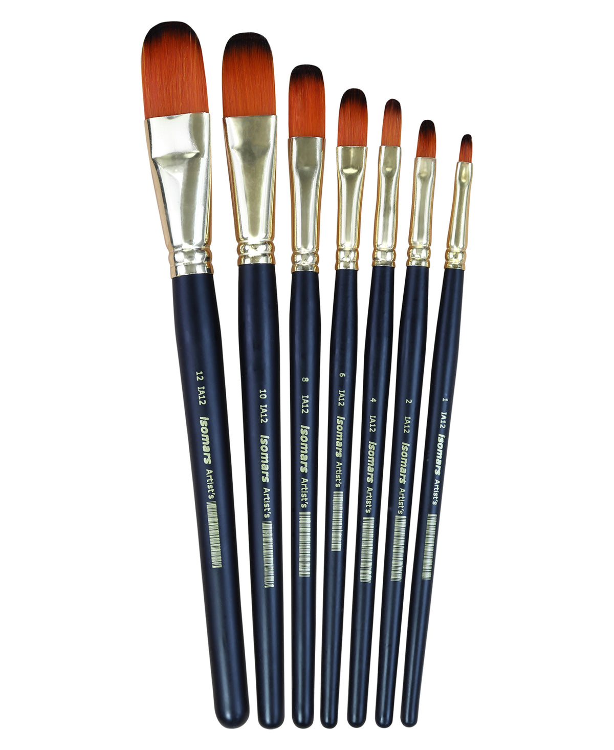 Artist Brush Filbert (Set of 7)