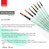 Professional Round Paint Brushes for Fine Details Line Work and Retouching