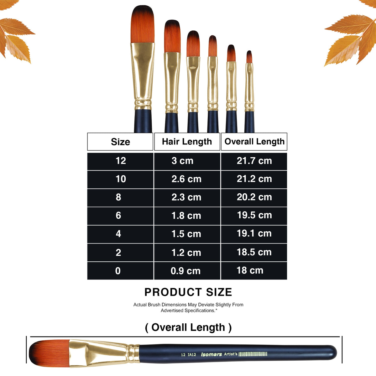 Artist Brush Filbert (Set of 7) - Isomars
