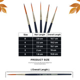 Artist Paint Brush (Set of 5) - Isomars