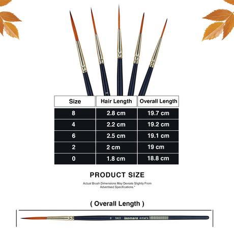 Artist Paint Brush (Set of 5) - Isomars