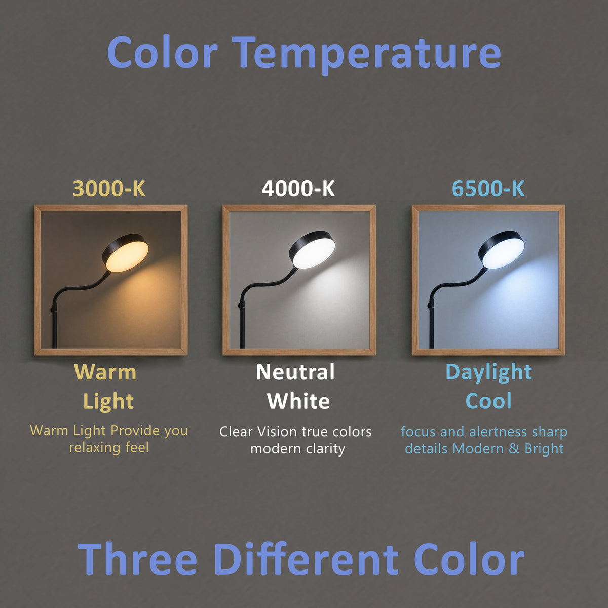 Isomars LED Study, Reading, Laptop, Computer,etc Desk Lamp with Clamp, Flexible Gooseneck, 3 Color Modes (Warm/Natural/Cool), Eye-Care Lighting (Black)