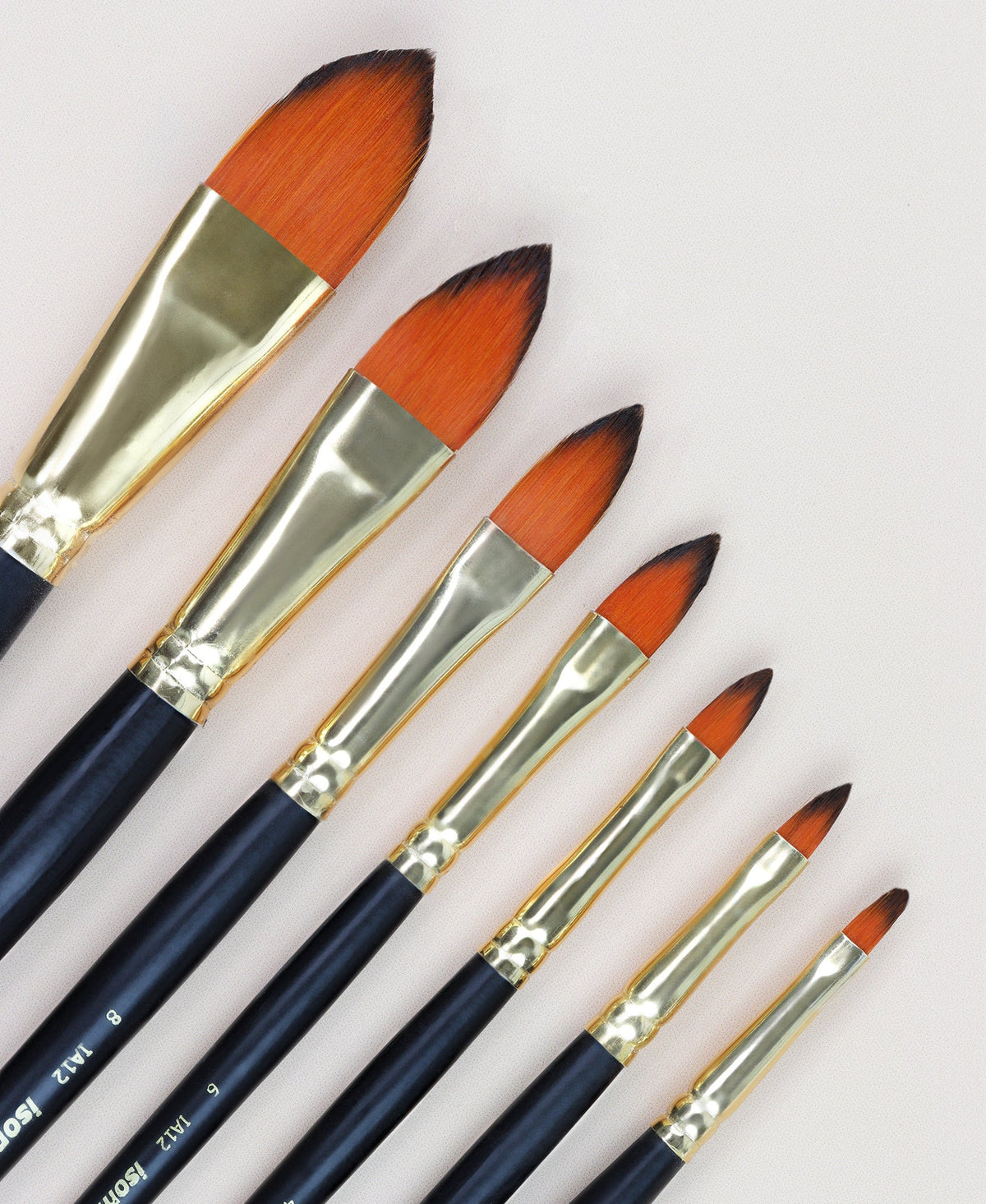 Isomars Cat's Tongue Paint Brush Set of 7 | Sizes 1, 2, 4, 6, 8, 10, 12 - Isomars