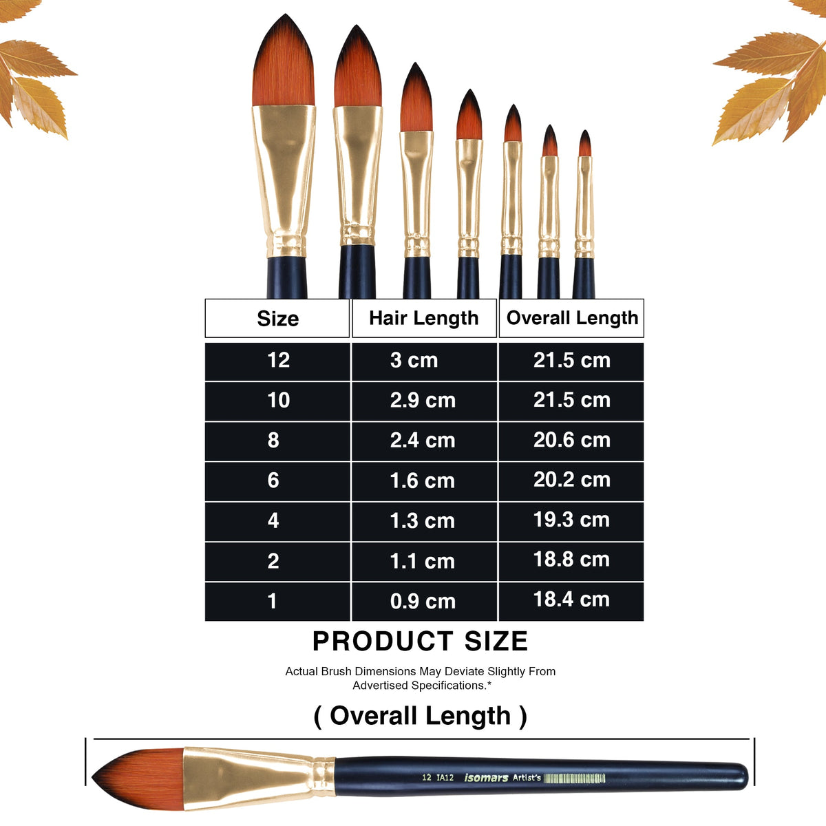 Isomars Cat's Tongue Paint Brush Set of 7 | Sizes 1, 2, 4, 6, 8, 10, 12 - Isomars