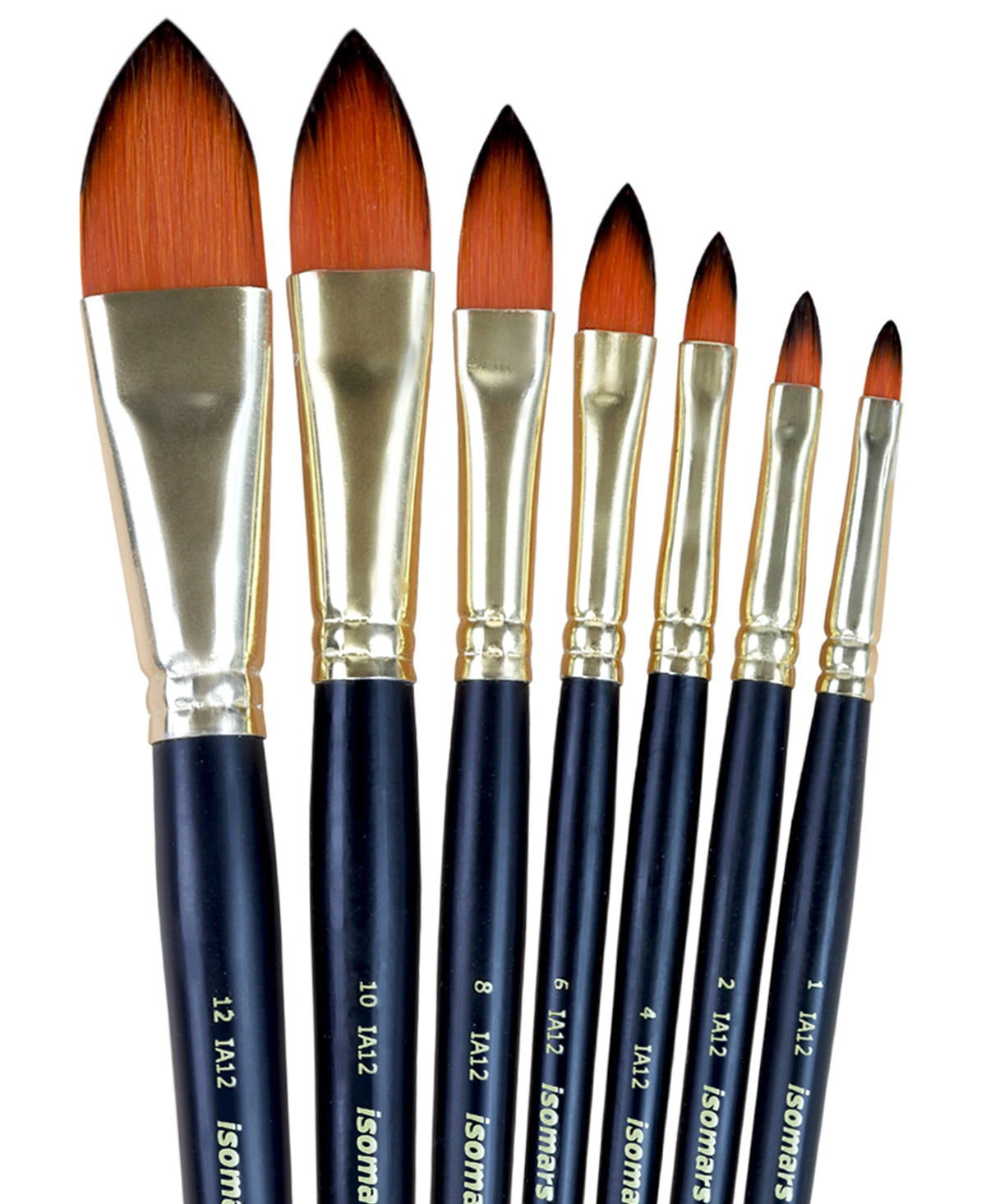 Isomars Cat's Tongue Paint Brush Set of 7 | Sizes 1, 2, 4, 6, 8, 10, 12 - Isomars