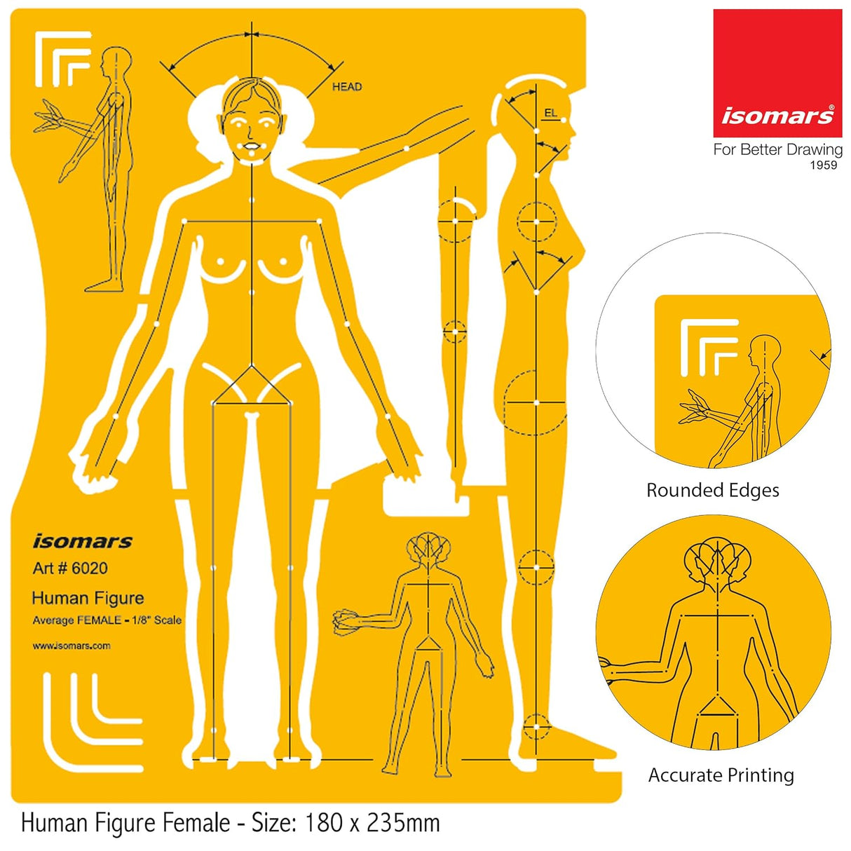Isomars Female Human Figure Template 1/8 Scale Fashion Stencil - Isomars