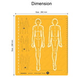 Isomars Female Human Figure Template for Fashion & Technical Drawing - Isomars