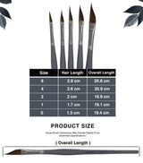 Isomars Fineline Petal Brush Set of 5 for Watercolor, Acrylic & Floral Painting - Isomars