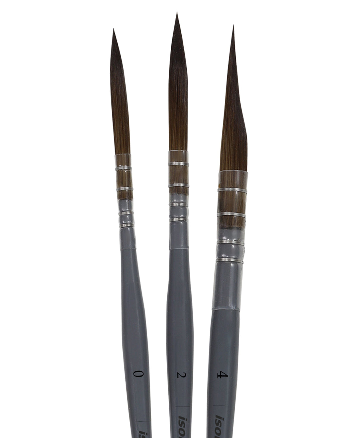 Isomars Fineline Rigger Brush Set of 3 for Watercolor & Long Stroke Painting - Isomars