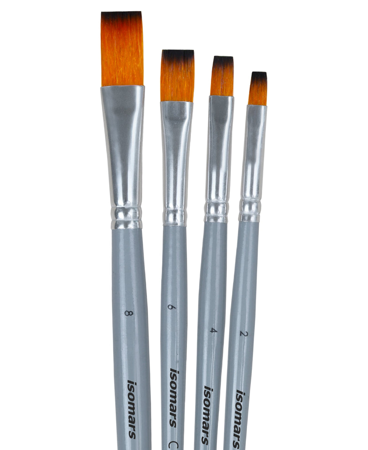 Isomars Flat Paint Brush Set of 4 - Taklon Hair, Sizes 2, 4, 6, 8 - Isomars