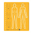 Isomars Human Figure Female Template No. 2 Drawing Stencil - Isomars