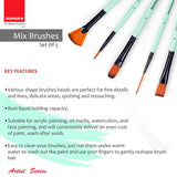 Isomars Paint Brushes Set of 5 Mixed Professional Brushes | Synthetic Artist Brush Assortment for Acrylic, Oil, Watercolor & Mixed Media Painting | Filbert, Fan, Round Liner, Flat & Round - Isomars