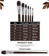 Isomars Professional Filbert Paint Brush Set of 6 for Acrylic, Watercolor & Oil Painting - Isomars