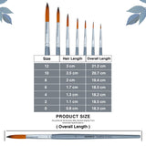 Isomars Round Paint Brush Set of 7 - Taklon Hair, Sizes 0 to 12 - Isomars