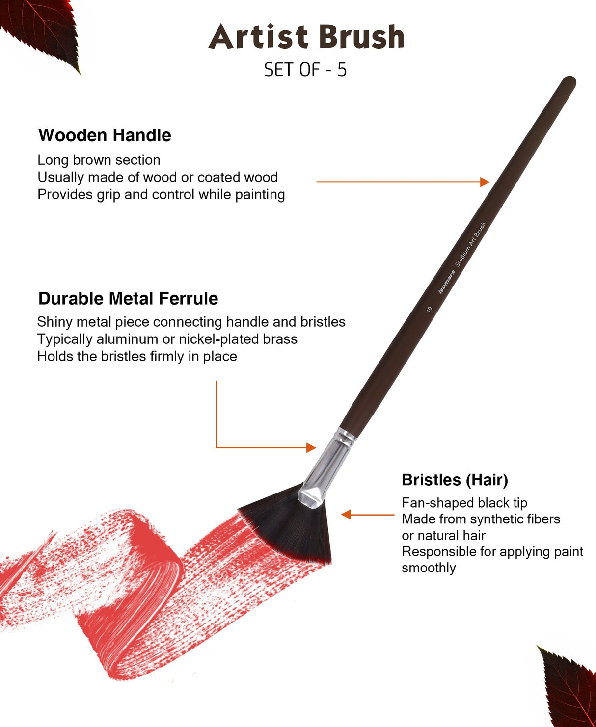 Isomars Studium Extra Long Handle Artist Fan Brush Set of 5 for Acrylic, Watercolor & Oil Painting - Isomars