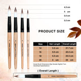 Isomars Watercolour Drawing Ink Set of 12 (35ml Each) with Mop Brush Set of 4 | Vibrant Liquid Watercolor Inks for Calligraphy, Illustration, Airbrush, Painting & Mixed Media Art - Isomars