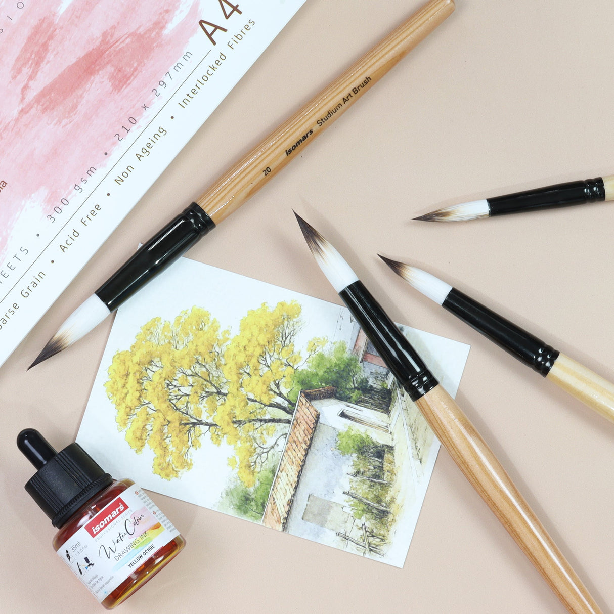 Isomars Watercolour Drawing Ink Set of 12 (35ml Each) with Mop Brush Set of 4 | Vibrant Liquid Watercolor Inks for Calligraphy, Illustration, Airbrush, Painting & Mixed Media Art - Isomars