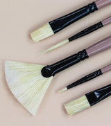 Saphire Master Paint Brush Set of 5 | Professional Hog Hair Long Handle Artist Brushes for Acrylic, Oil, Watercolor & Canvas Painting | Mixed Filbert, Fan, Flat, Round & Liner Brush Set - Isomars