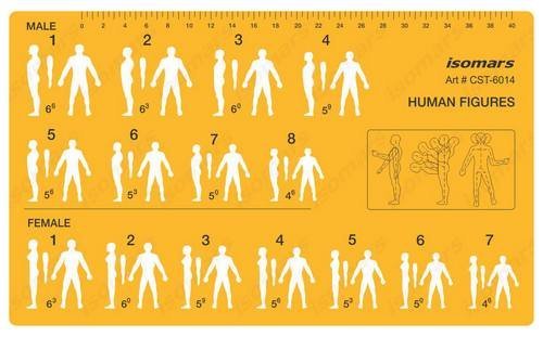Human Position Figure Position Template - Isomars