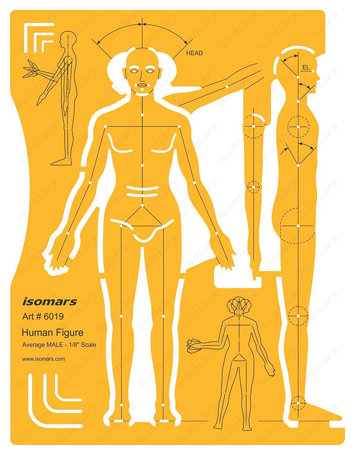 Male Human Figure Drafting and Design Template - Isomars